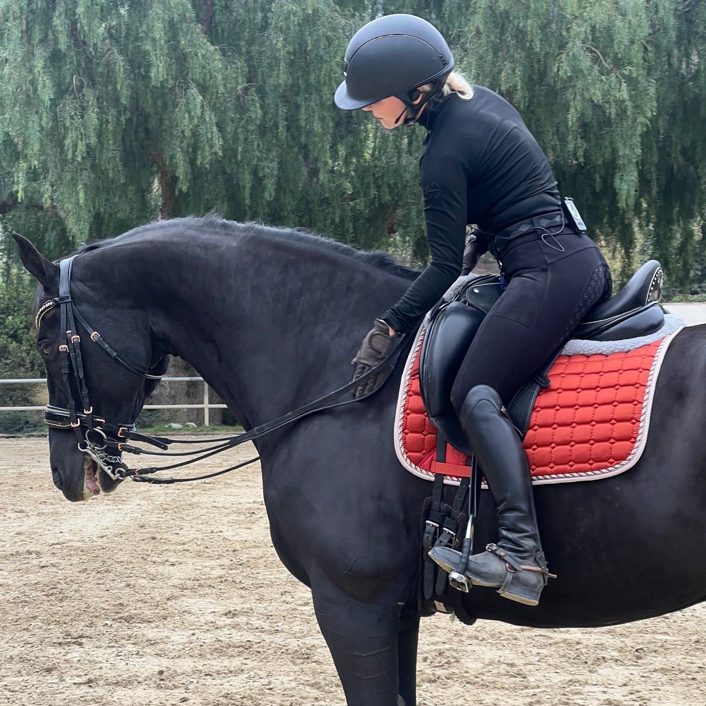 Halter Ego® Satin Classic Dressage Saddle Pad - Rust