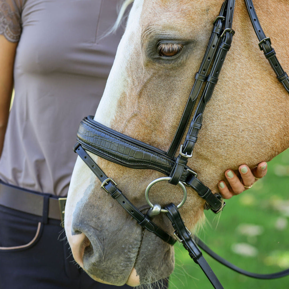 Halter Ego® Doc Marten Black Leather Snaffle Bridle with Removable Flash