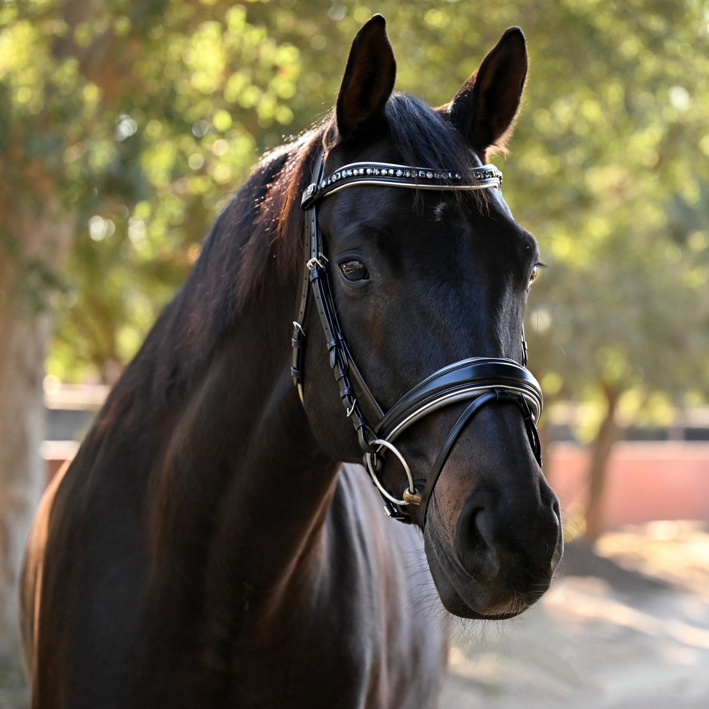 Halter Ego® The Eiffel Tower Black Leather Snaffle Bridle