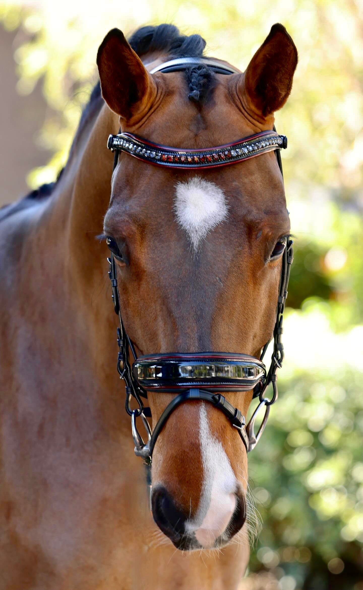 Halter Ego® The Hayworth - Black Patent Snaffle with Burgundy Patent Piping & Removable Flash