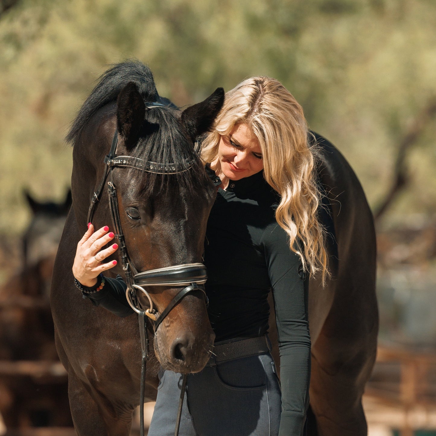 Halter Ego® The Eiffel Tower Black Leather Snaffle Bridle