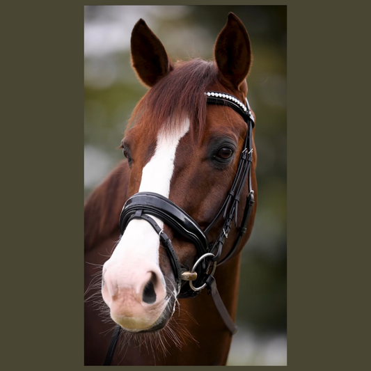 Halter Ego Valentina Black Patent Sparkle Snaffle Bridle