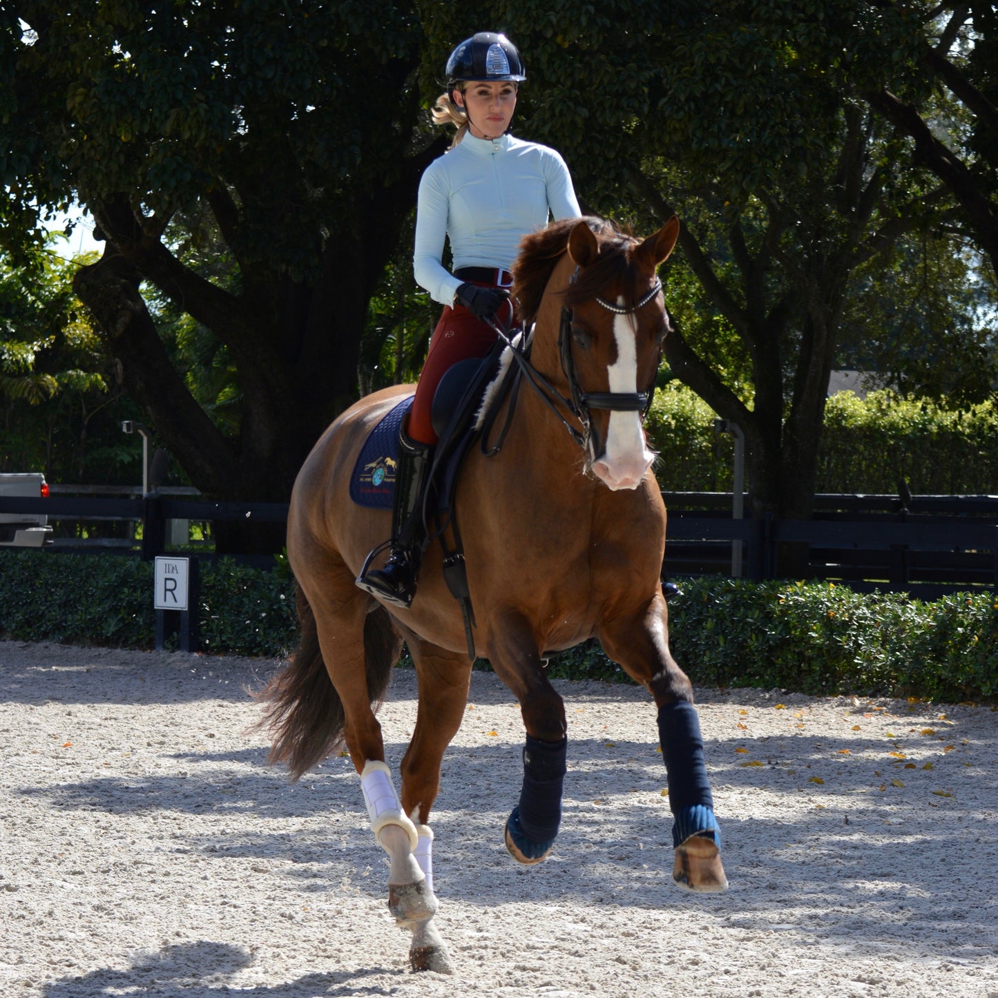 Halter Ego® Nadia - Long Sleeve Riding Shirt