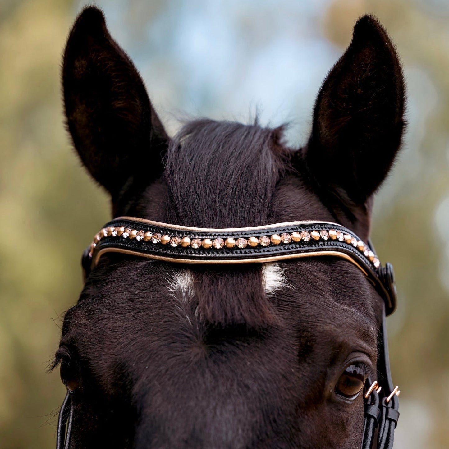 Halter Ego Aurelia Rose Gold Black Patent Snaffle Bridle with Removable Flash