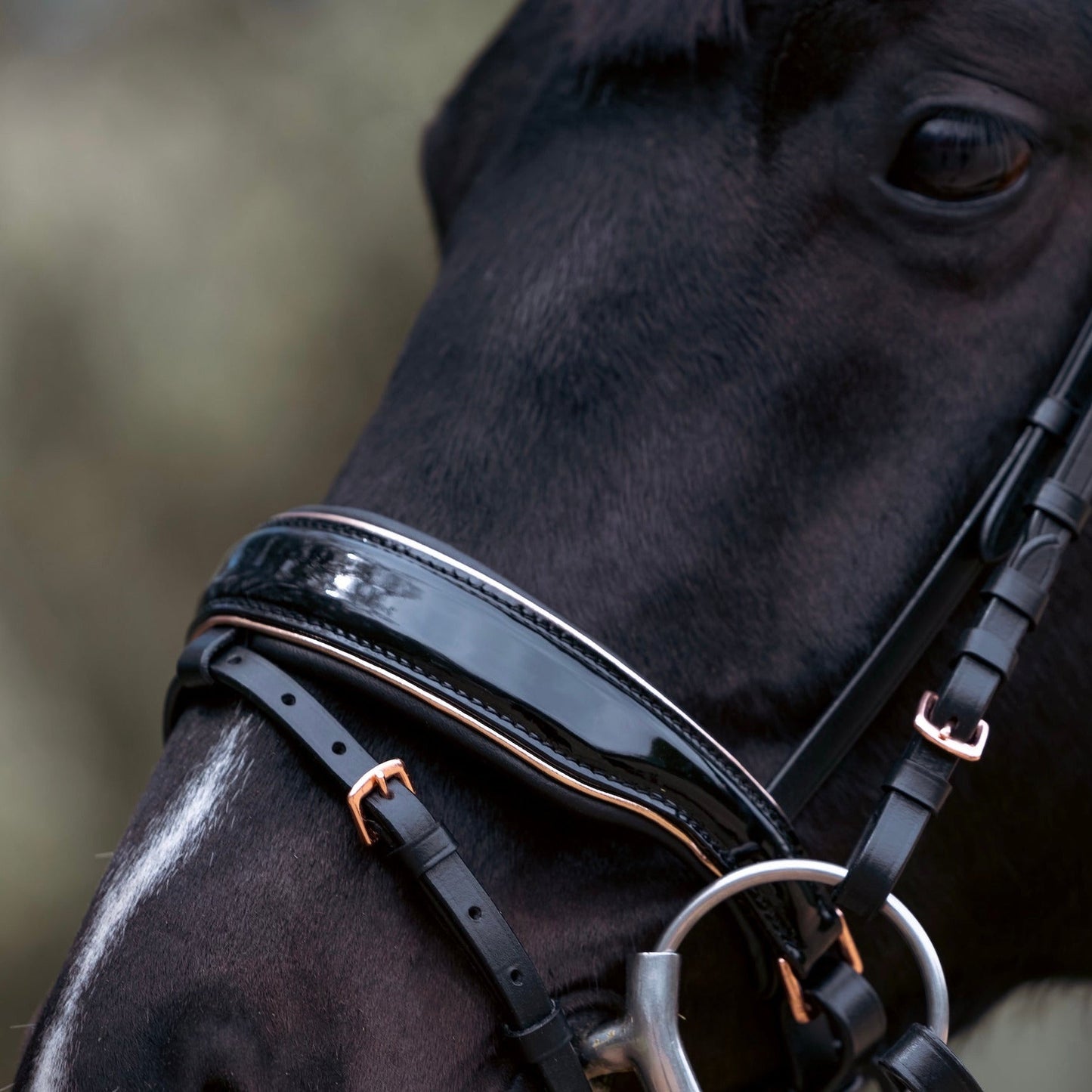 Halter Ego Aurelia Rose Gold Black Patent Snaffle Bridle with Removable Flash