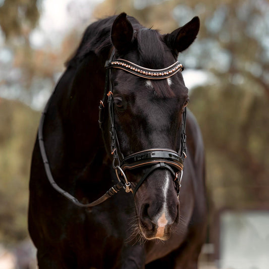 Halter Ego Aurelia Rose Gold Black Patent Snaffle Bridle with Removable Flash