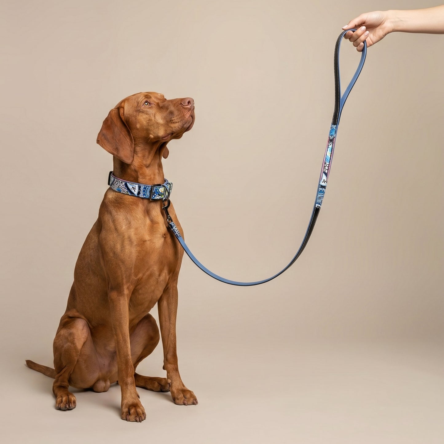 Halter Ego - The Blossom Leather Dog Leash