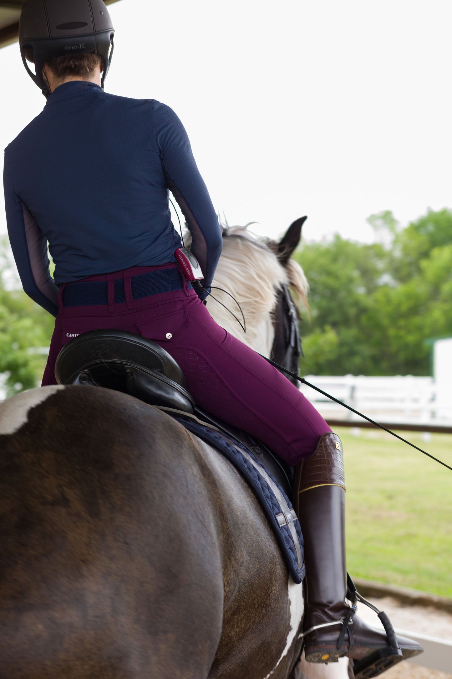 Canter Culture - Athletic Breech - Purple Rein
