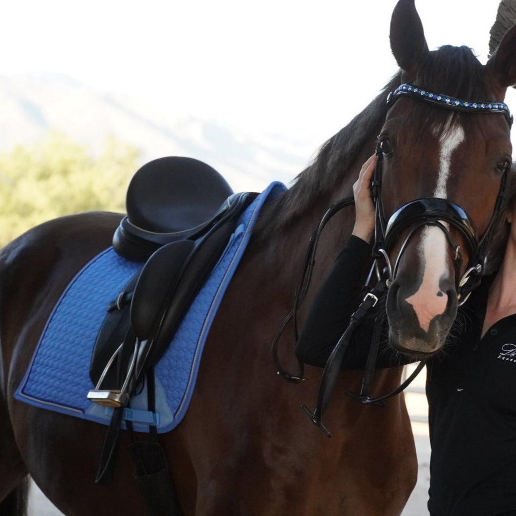Halter Ego - European Cotton Dressage Saddle Pad - Sky Blue