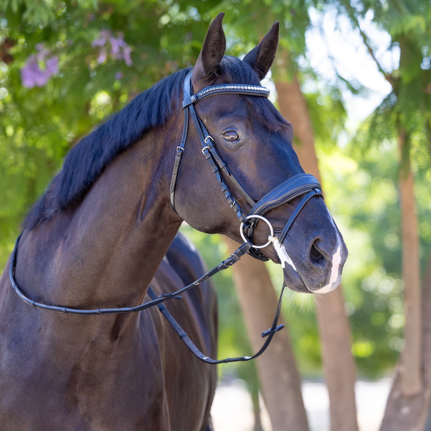 Halter Ego® Doc Marten Black Leather Snaffle Bridle with Removable Flash