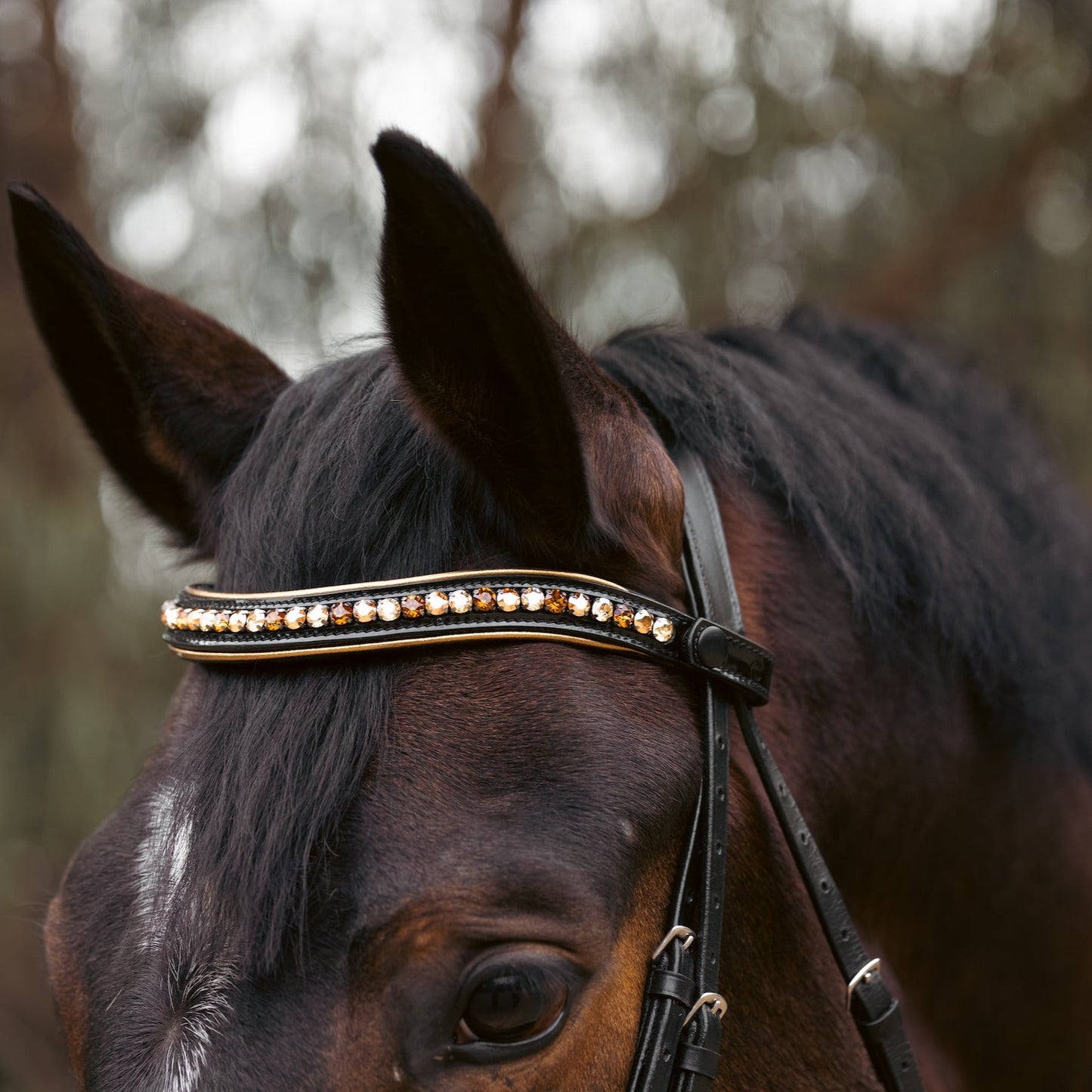 Halter Ego  Geneva - Black Patent Snaffle Bridle with Metallic Gold Piping