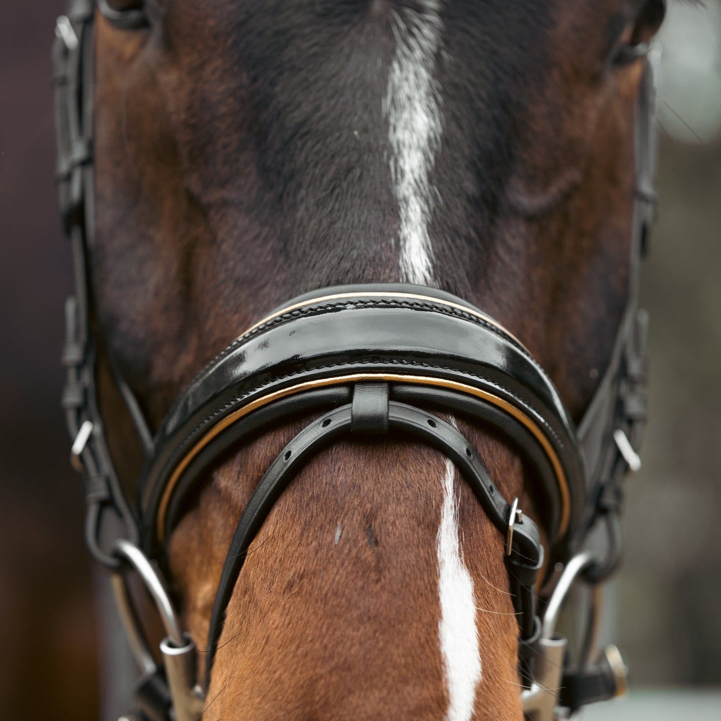 Halter Ego  Geneva - Black Patent Snaffle Bridle with Metallic Gold Piping