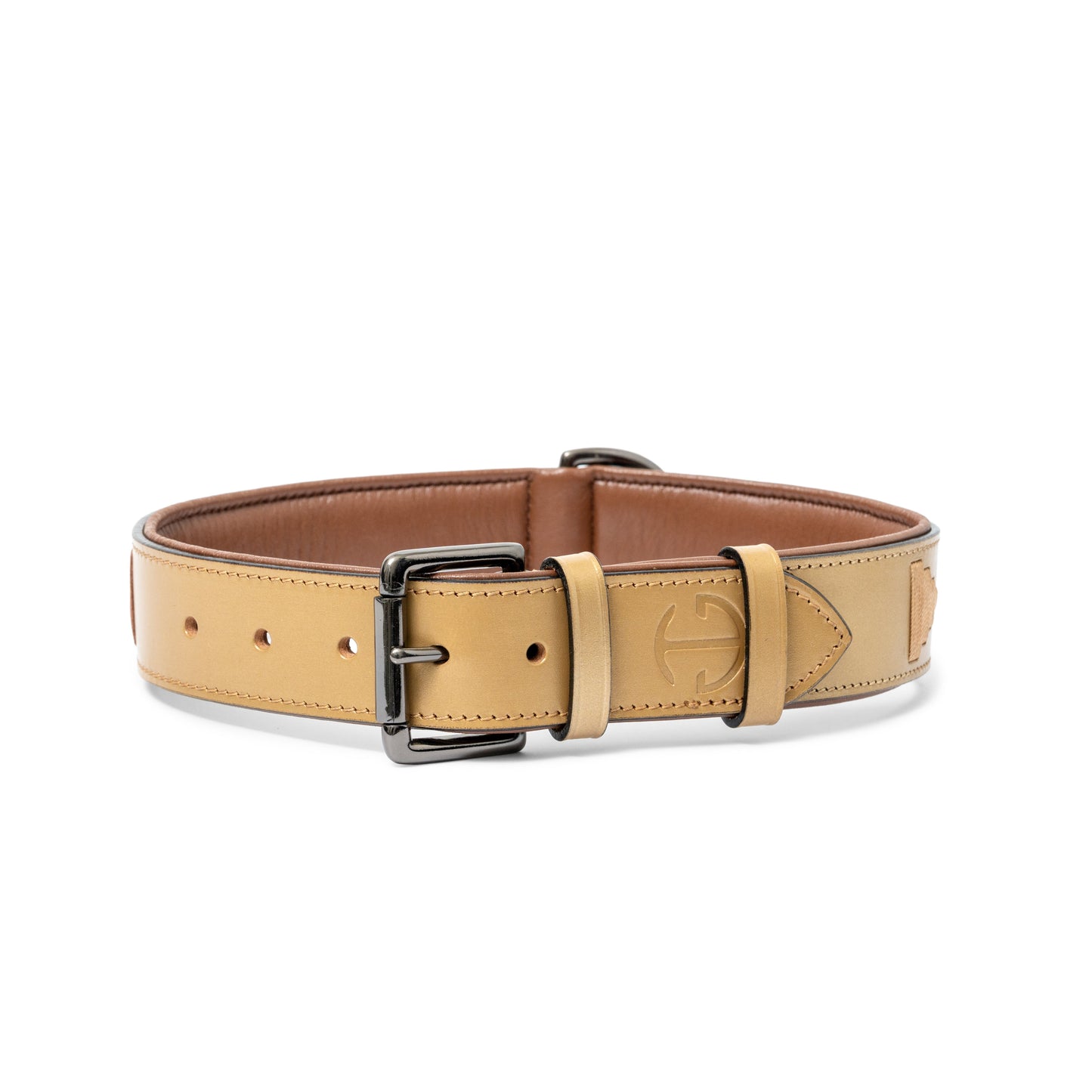 Halter Ego - Gilded Solstice Leather Dog Collar