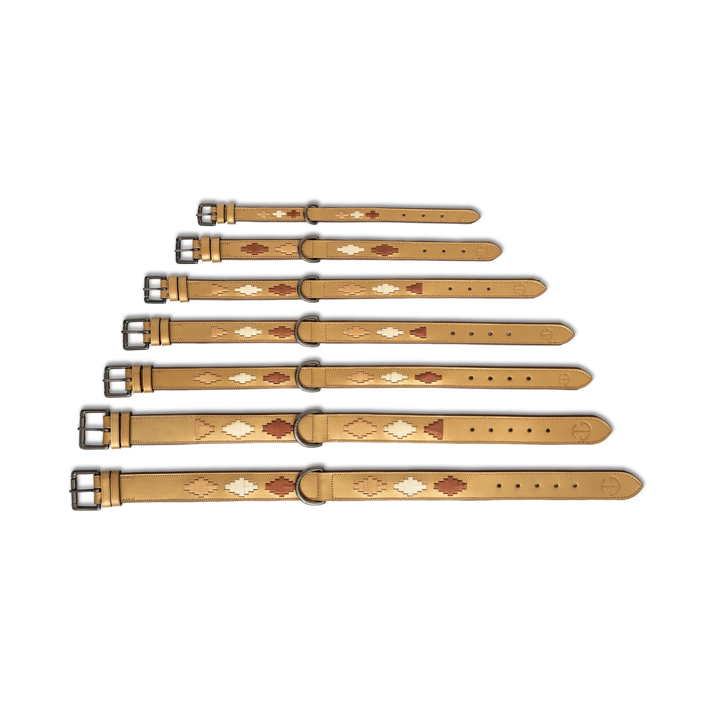 Halter Ego - Gilded Solstice Leather Dog Collar