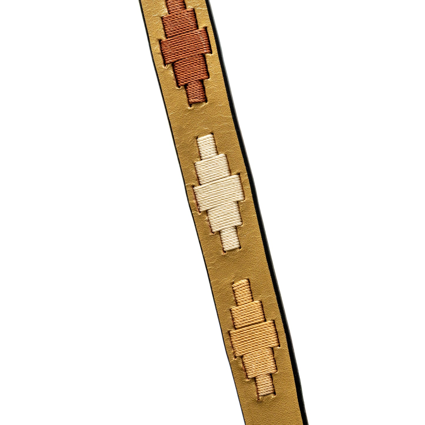 Halter Ego - Gilded Solstice Leather Dog Leash