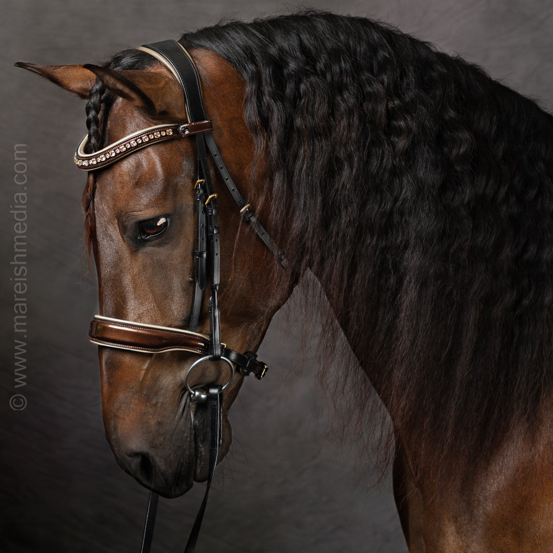 Halter Ego® The Champagne Black Leather Snaffle Bridle
