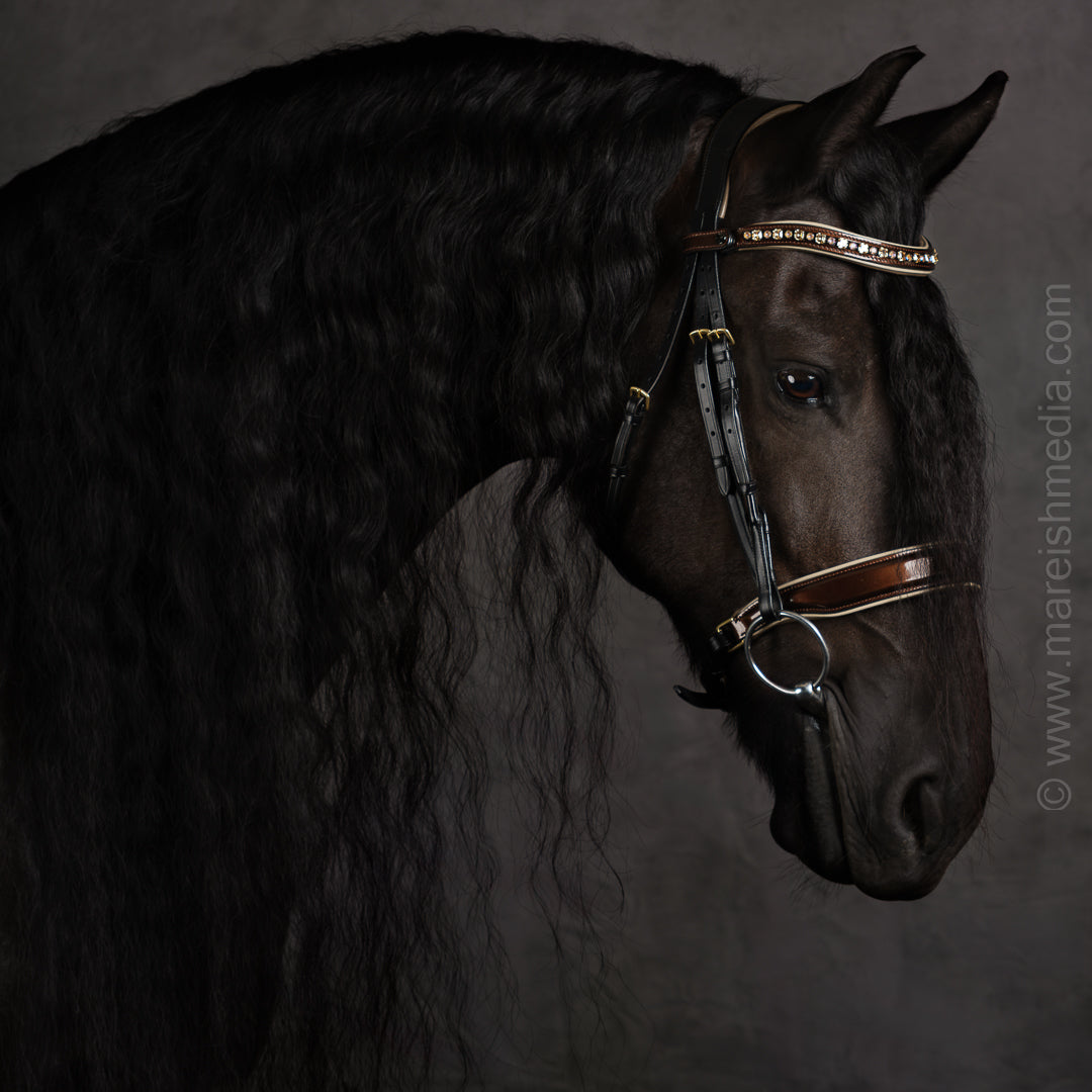 Halter Ego® The Champagne Black Leather Snaffle Bridle