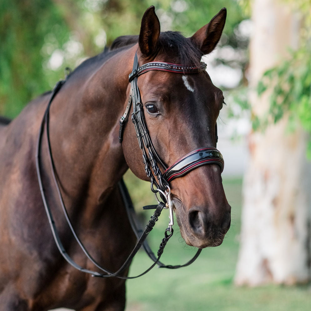 Halter Ego® The Hayworth Double - Black Patent Double Bridle