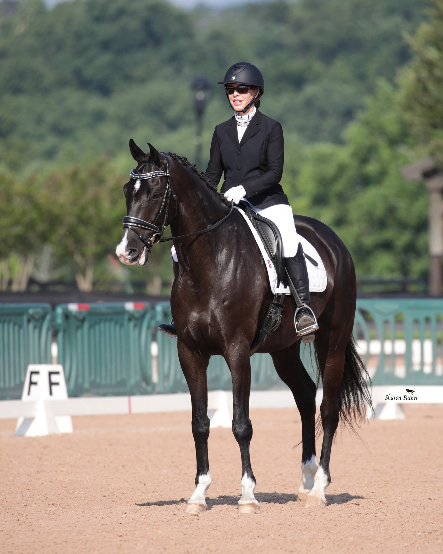 Halter Ego® The Eiffel Tower Black Leather Snaffle Bridle