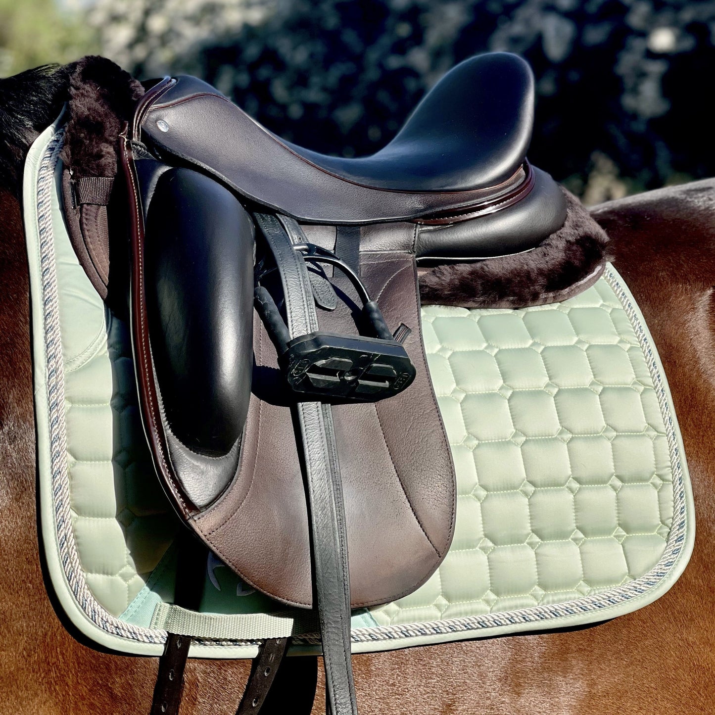 Halter Ego® Satin Classic Dressage Saddle Pad - Mint Sorbet