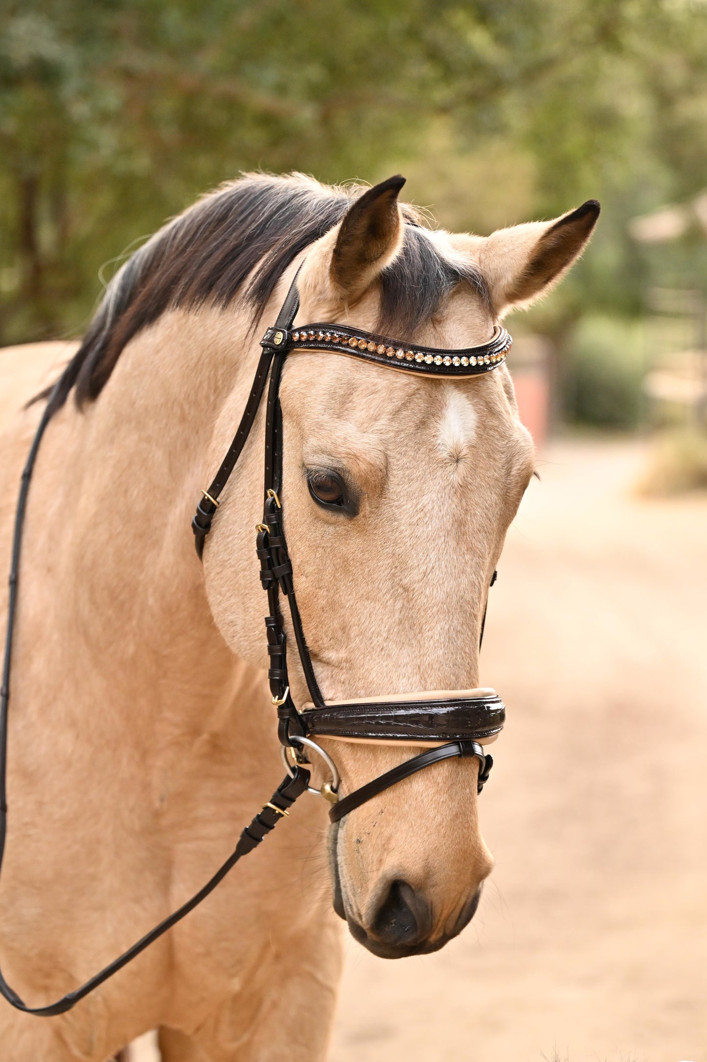 Halter Ego  The Vienna Brown Patent Leather Snaffle Bridle with Bronze Golden Sparkle Piping
