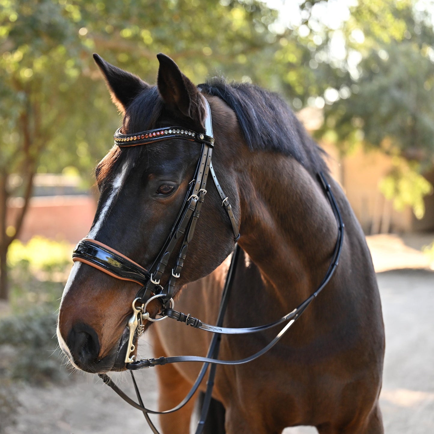 Halter Ego The Tuscany Black Patent Leather Double Bridle