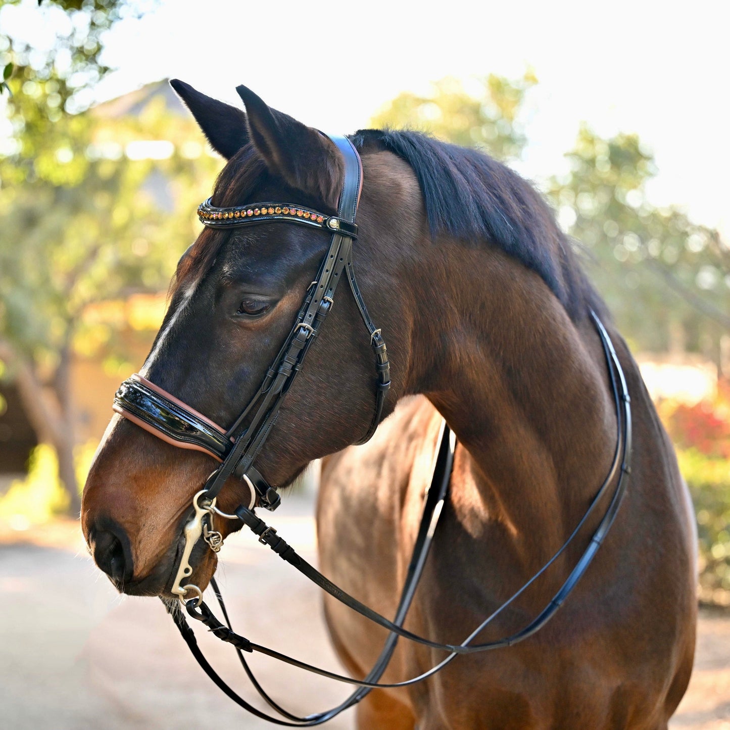 Halter Ego  🤎 The Umbria Rolled Black Patent Leather Double Bridle
