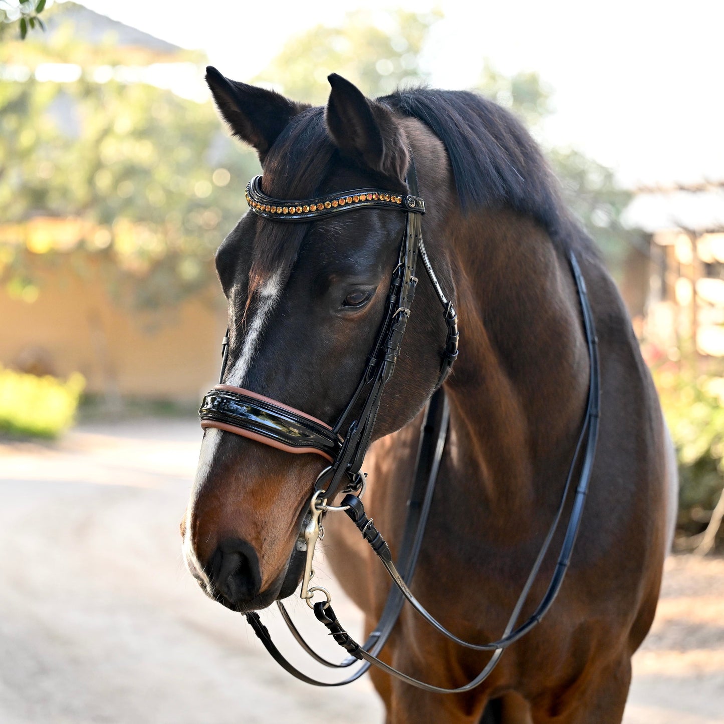 Halter Ego  🤎 The Umbria Rolled Black Patent Leather Double Bridle
