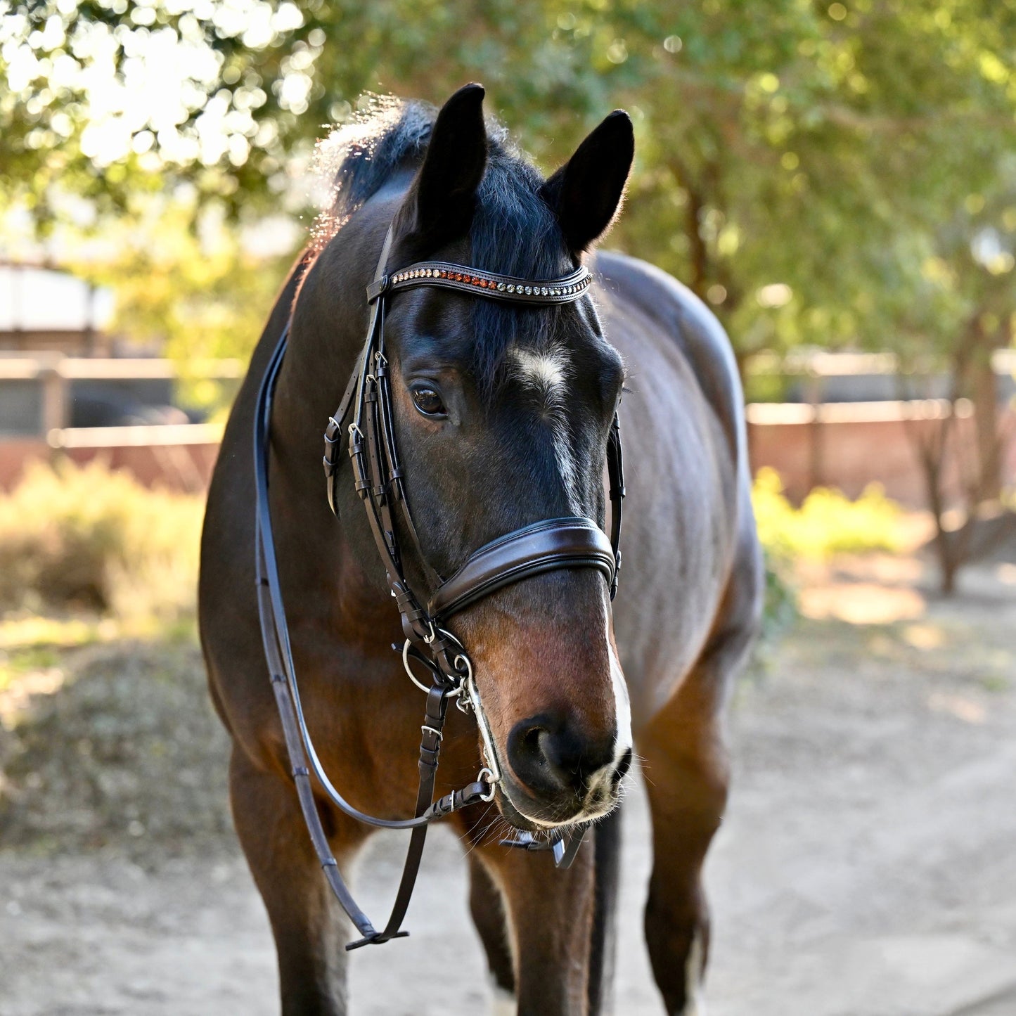 Halter Ego® The Sarah - Maple Brown Leather Double