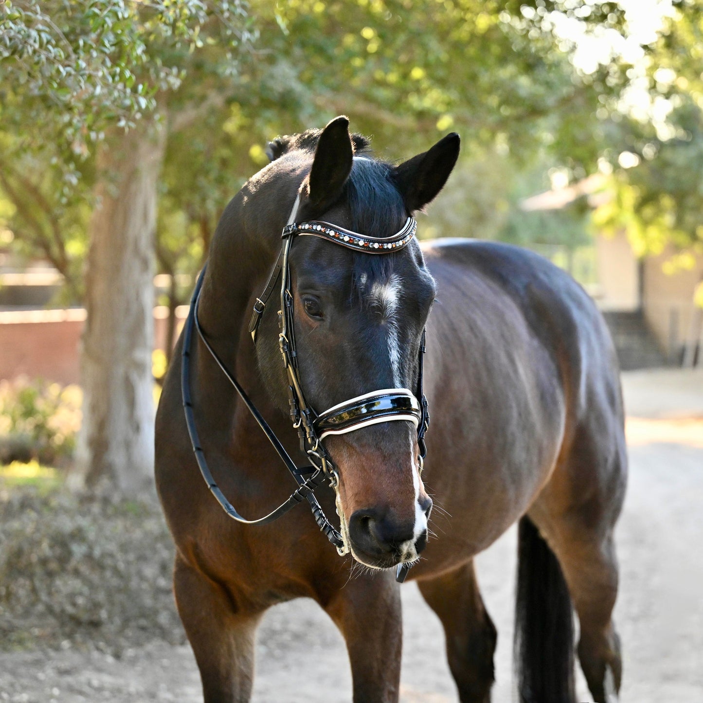 Halter Ego® The Taos Black Patent Double