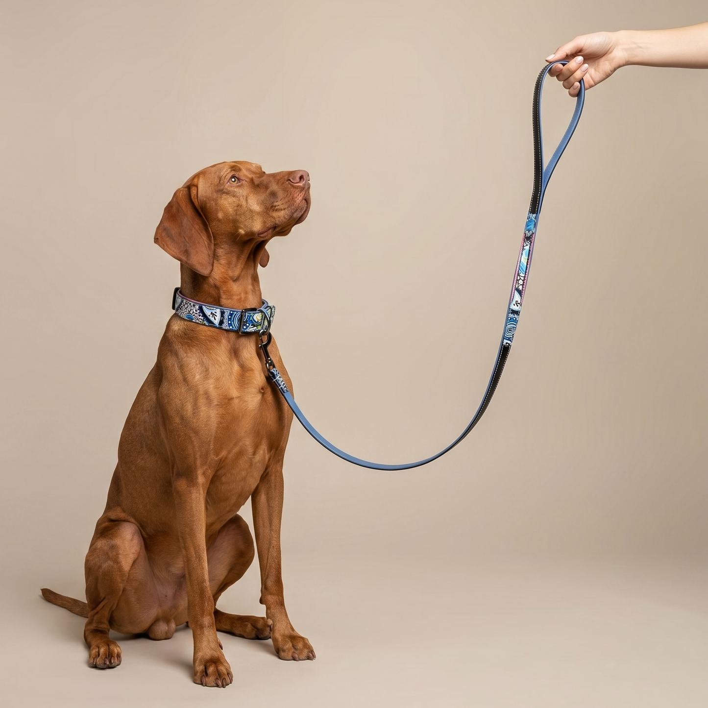 Halter Ego - The Blossom Leather Dog Collar