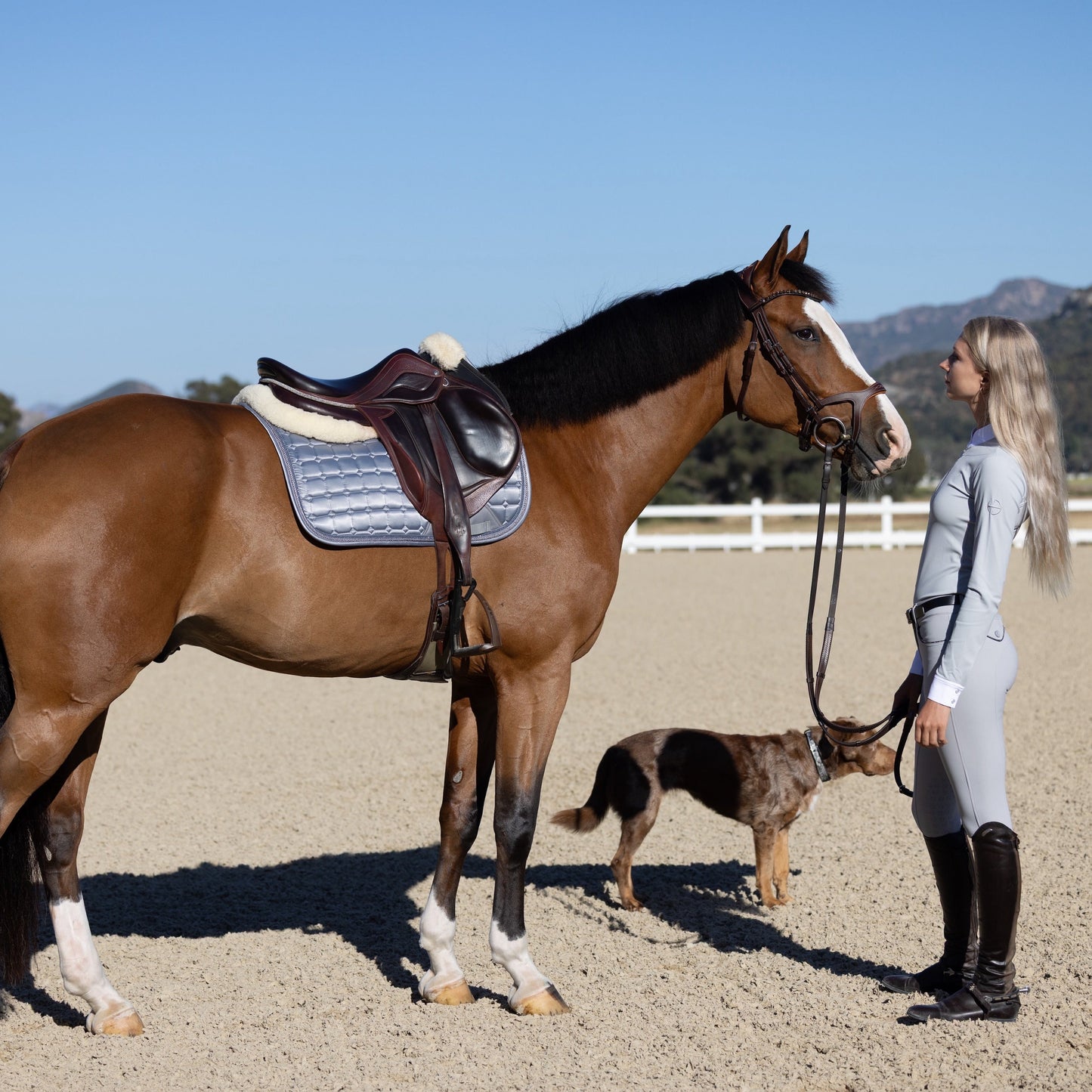 Halter Ego - Satin Classic Jump Saddle Pad - Platinum