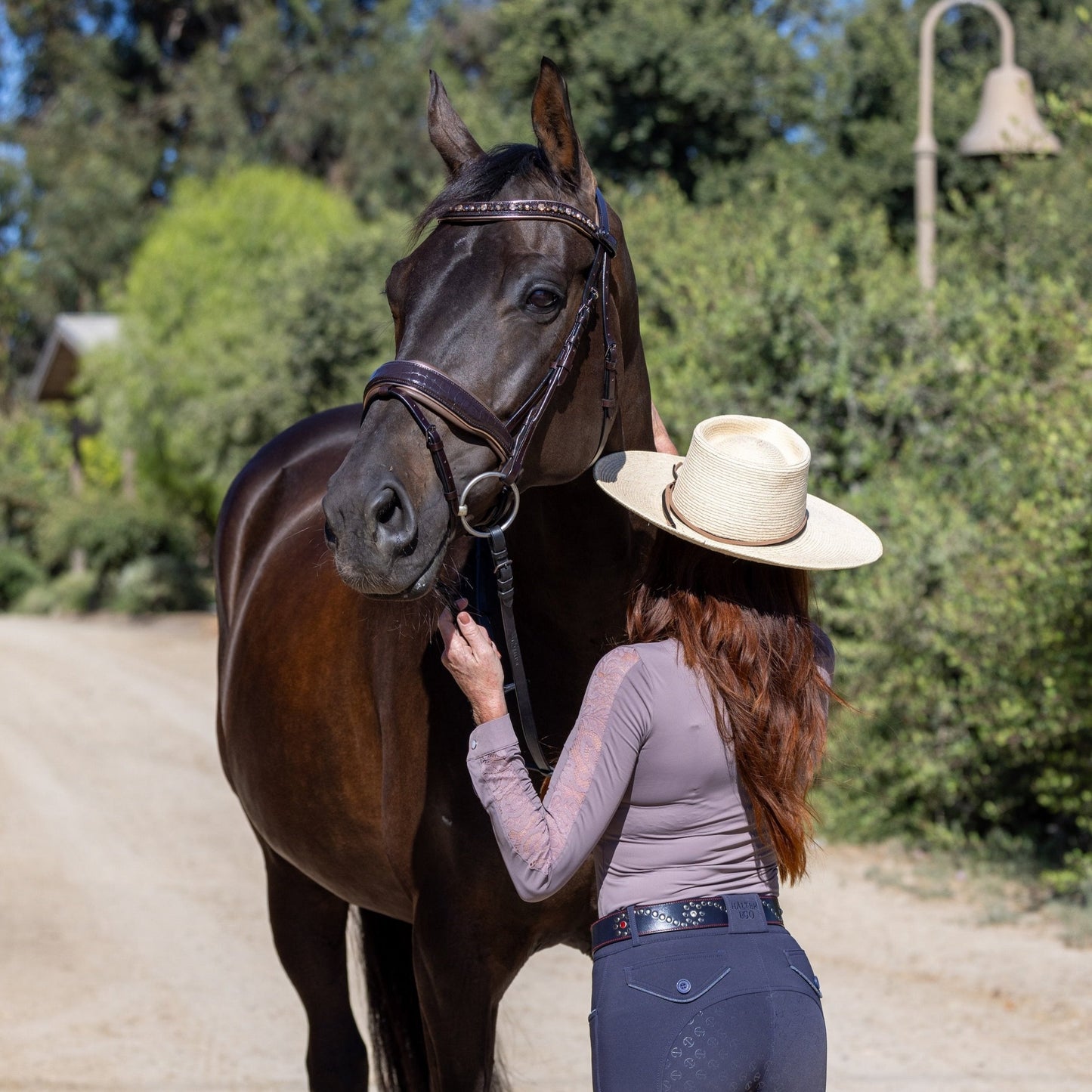 Halter Ego® The Sun King Brown Patent Leather Snaffle Bridle