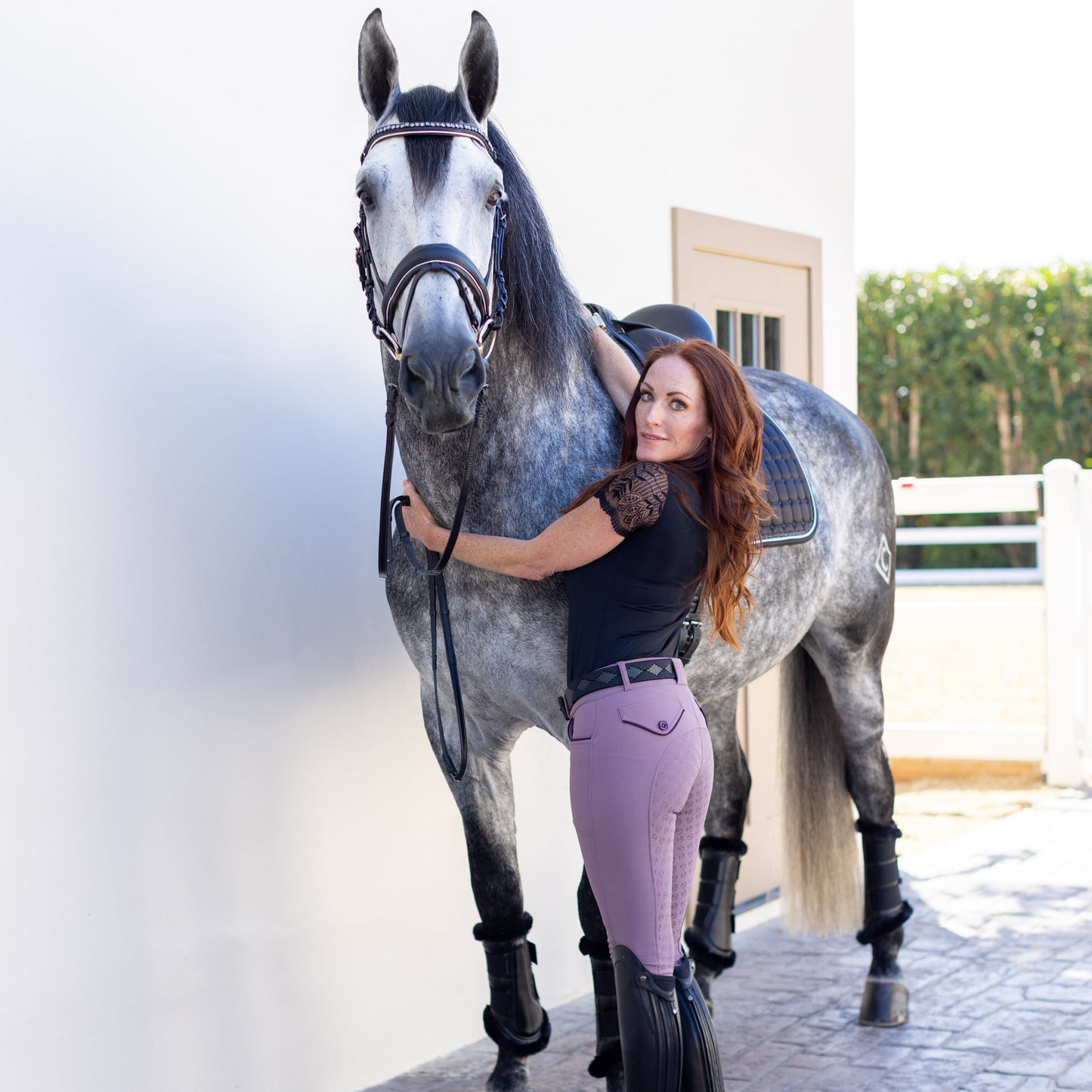 Halter Ego® Evolution Full Seat Breeches - French Lilac - MID WAIST