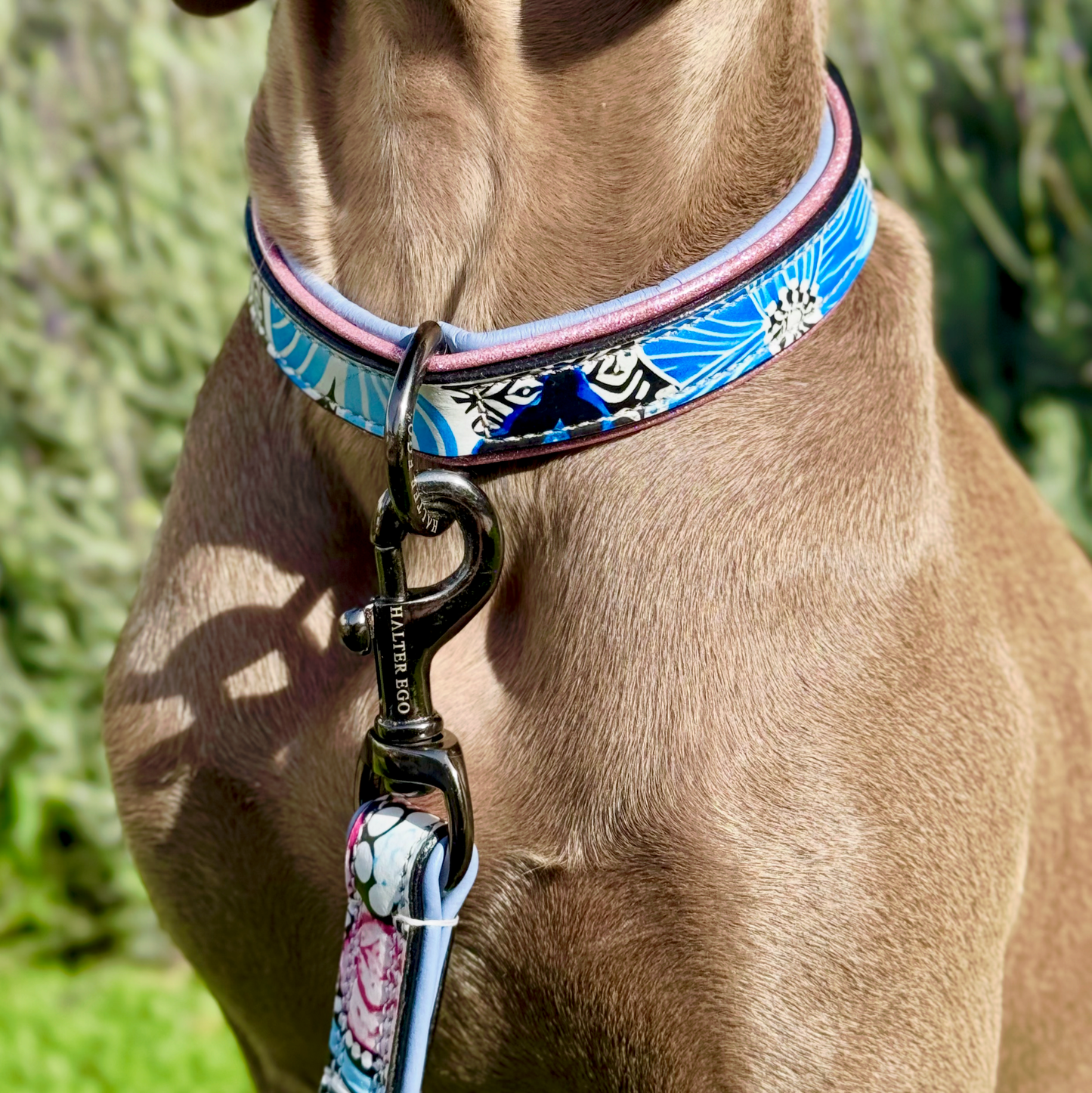Halter Ego - The Blossom Leather Dog Leash