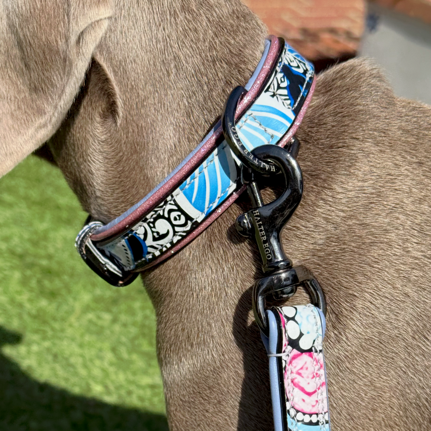 Halter Ego - The Blossom Leather Dog Leash
