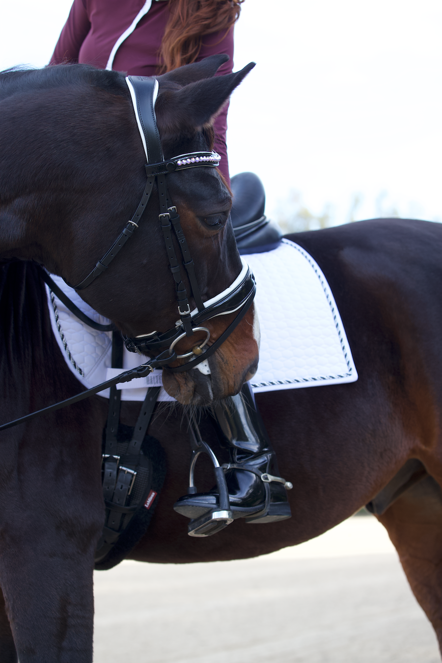 Halter Ego European Cotton Dressage Saddle Pad - White & Black Twist Trim Full