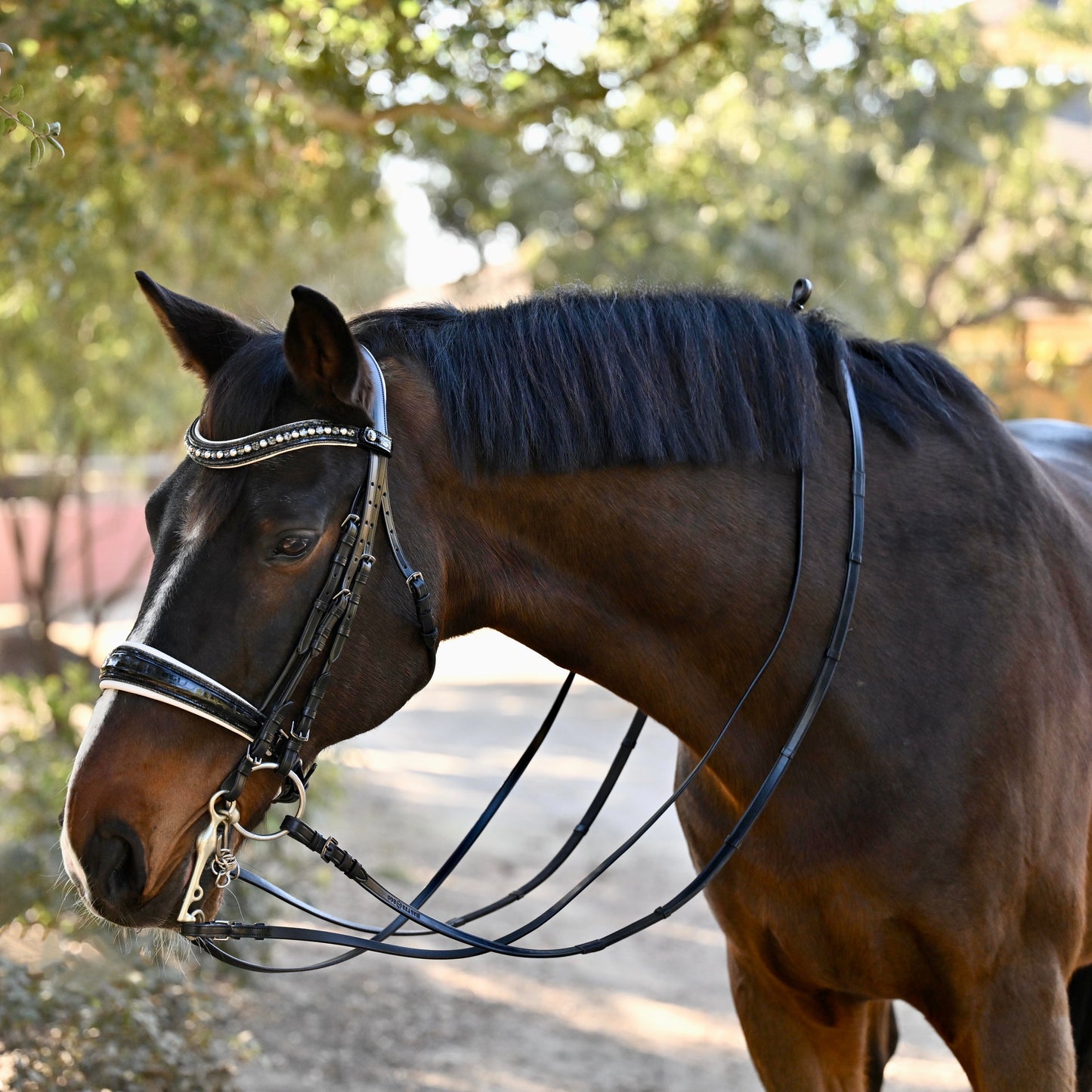 Halter Ego® The Harlow Black Rolled Leather Double Bridle