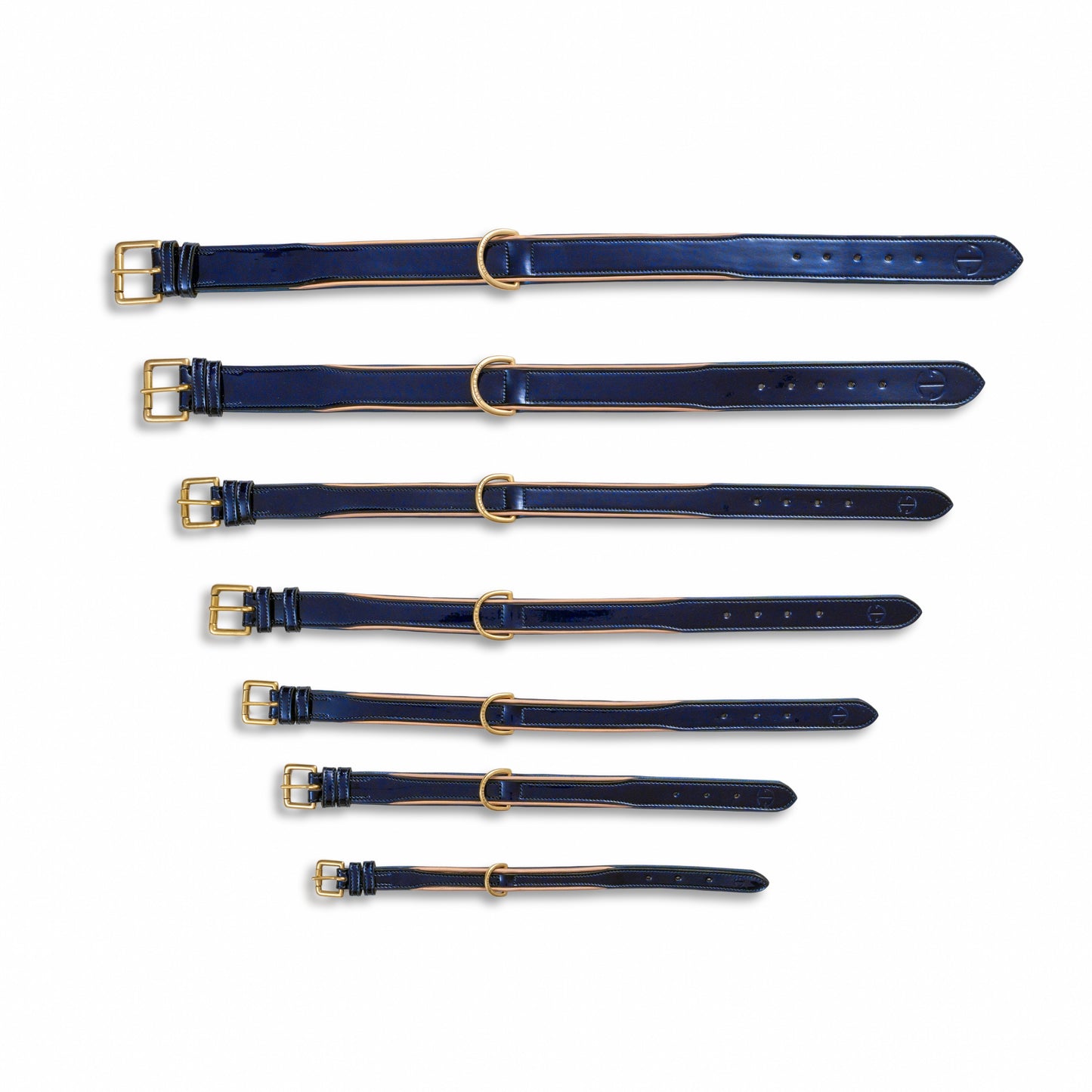 Halter Ego - Revolution Patent Blue Leather Dog Collar