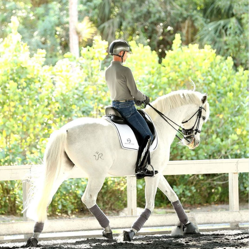 Halter Ego European Cotton Dressage Saddle Pad - White & Black Twist Trim Full