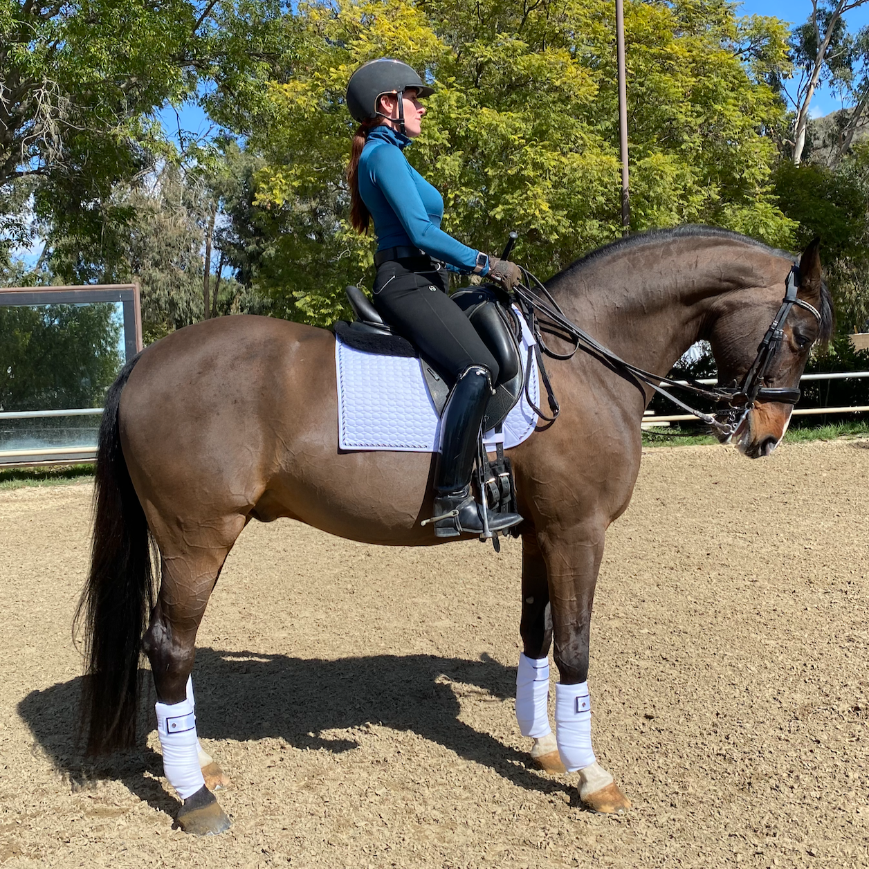 Halter Ego European Cotton Dressage Saddle Pad - White & Black Twist Trim Full