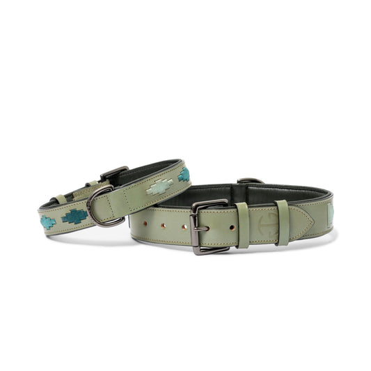 Halter Ego - Sea Glass Leather Dog Collar