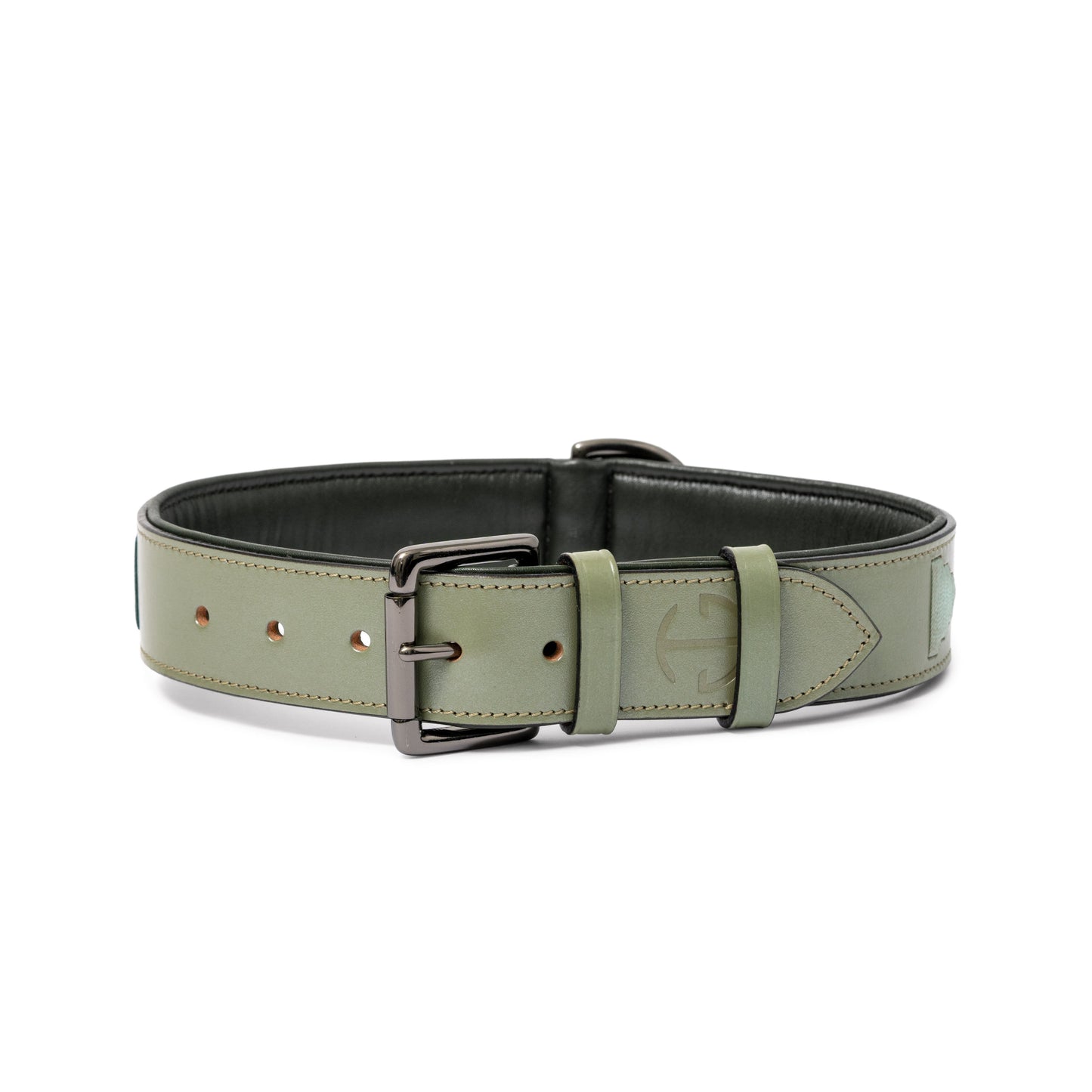 Halter Ego - Sea Glass Leather Dog Collar