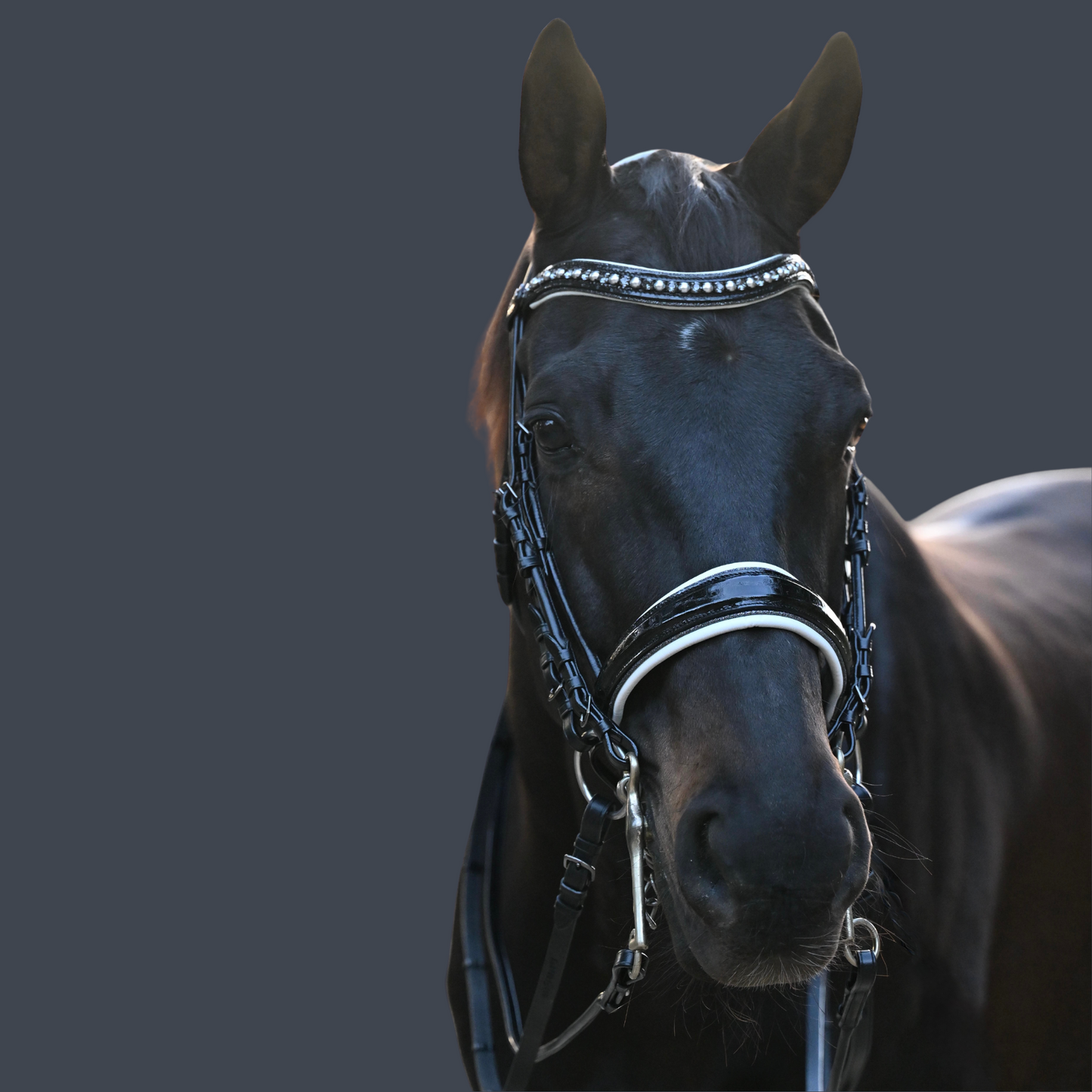Halter Ego® The Harlow Black Rolled Leather Double Bridle
