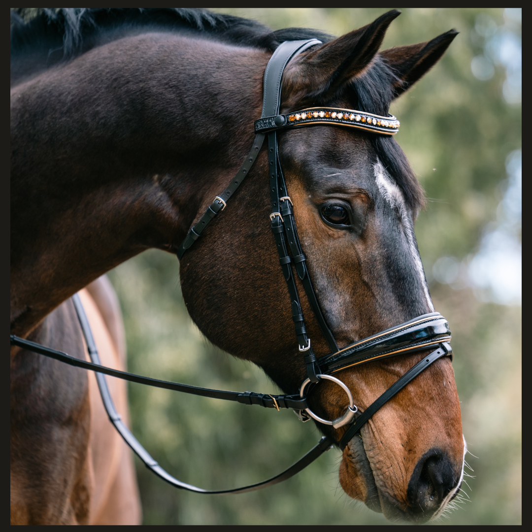 Halter Ego  Geneva - Black Patent Snaffle Bridle with Metallic Gold Piping