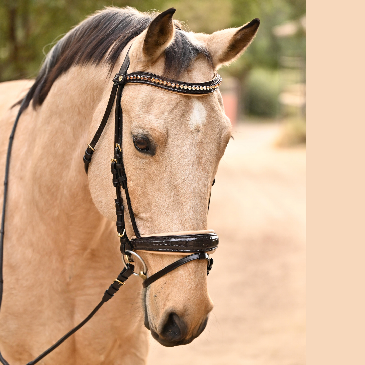 Halter Ego  The Vienna Brown Patent Leather Snaffle Bridle with Bronze Golden Sparkle Piping