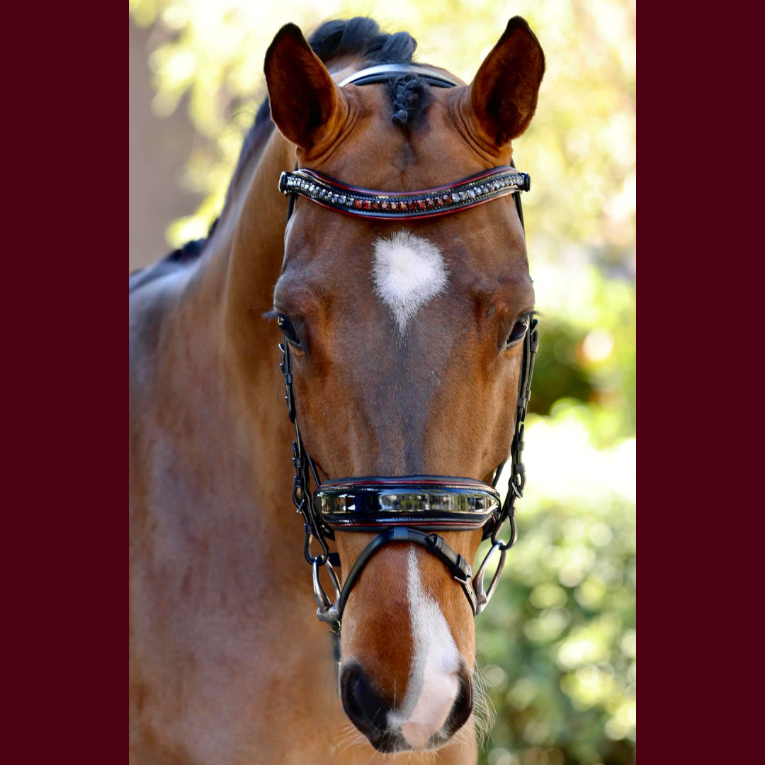 Halter Ego® The Hayworth - Black Patent Snaffle with Burgundy Patent Piping & Removable Flash