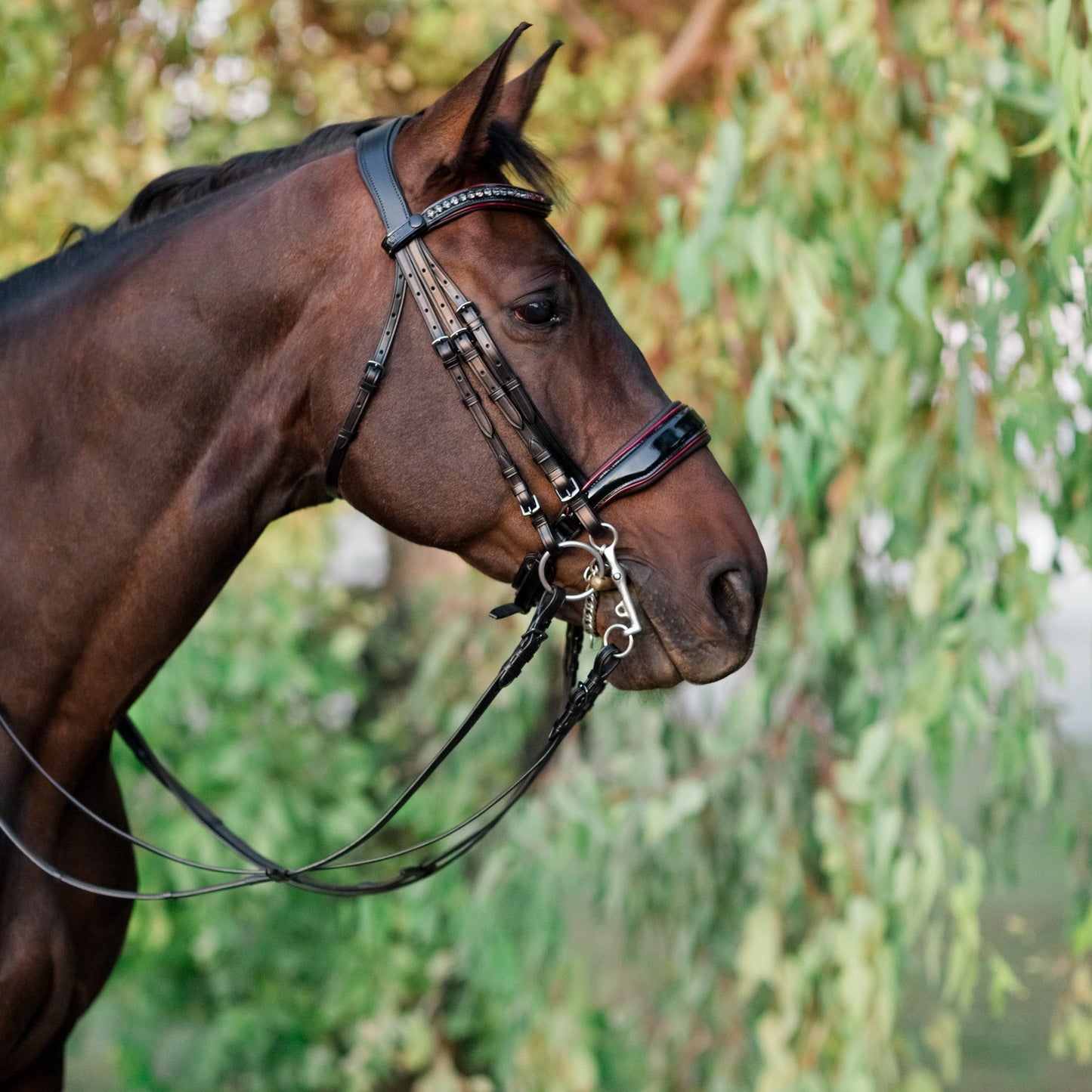 Halter Ego® The Hayworth Double - Black Patent Double Bridle