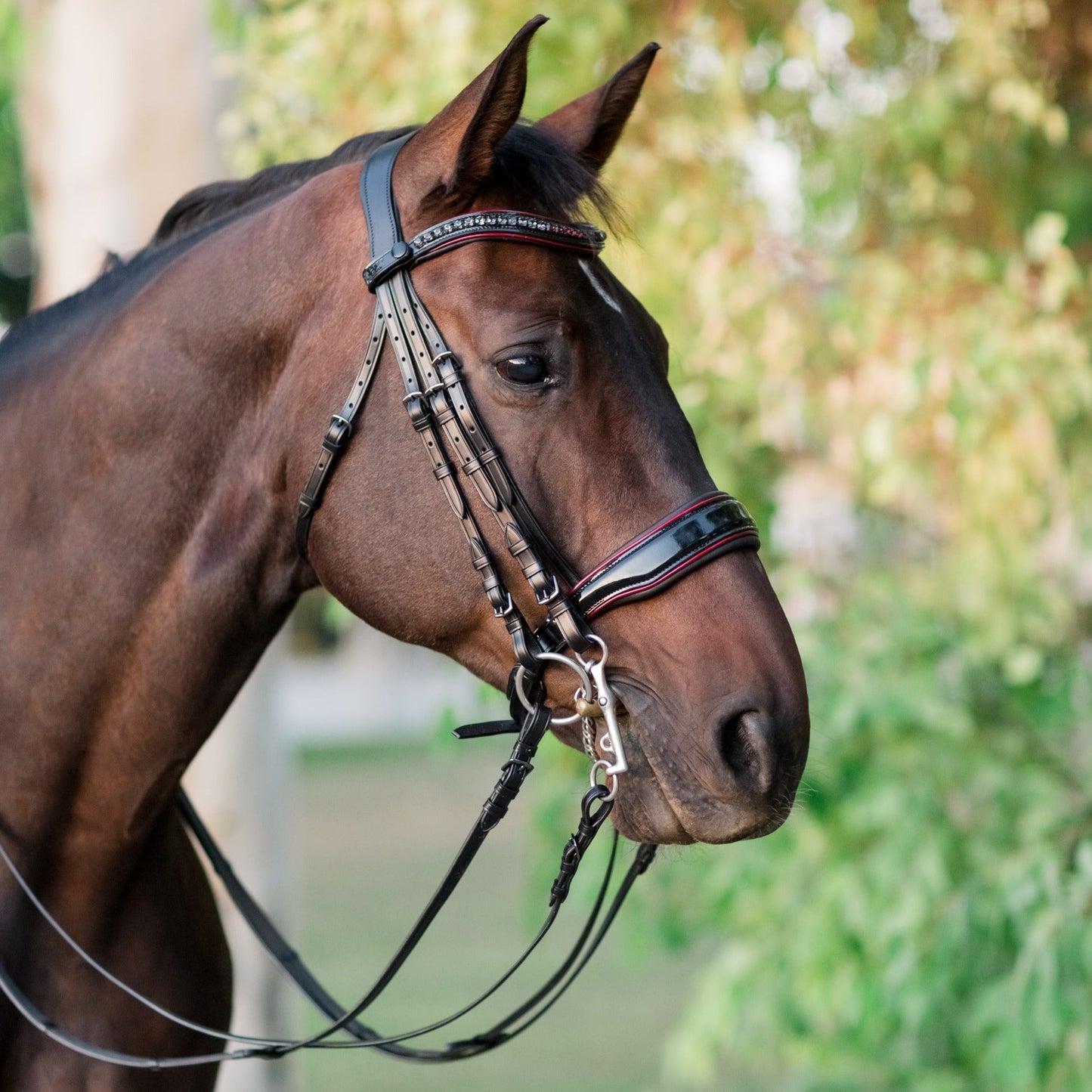 Halter Ego® The Hayworth Double - Black Patent Double Bridle