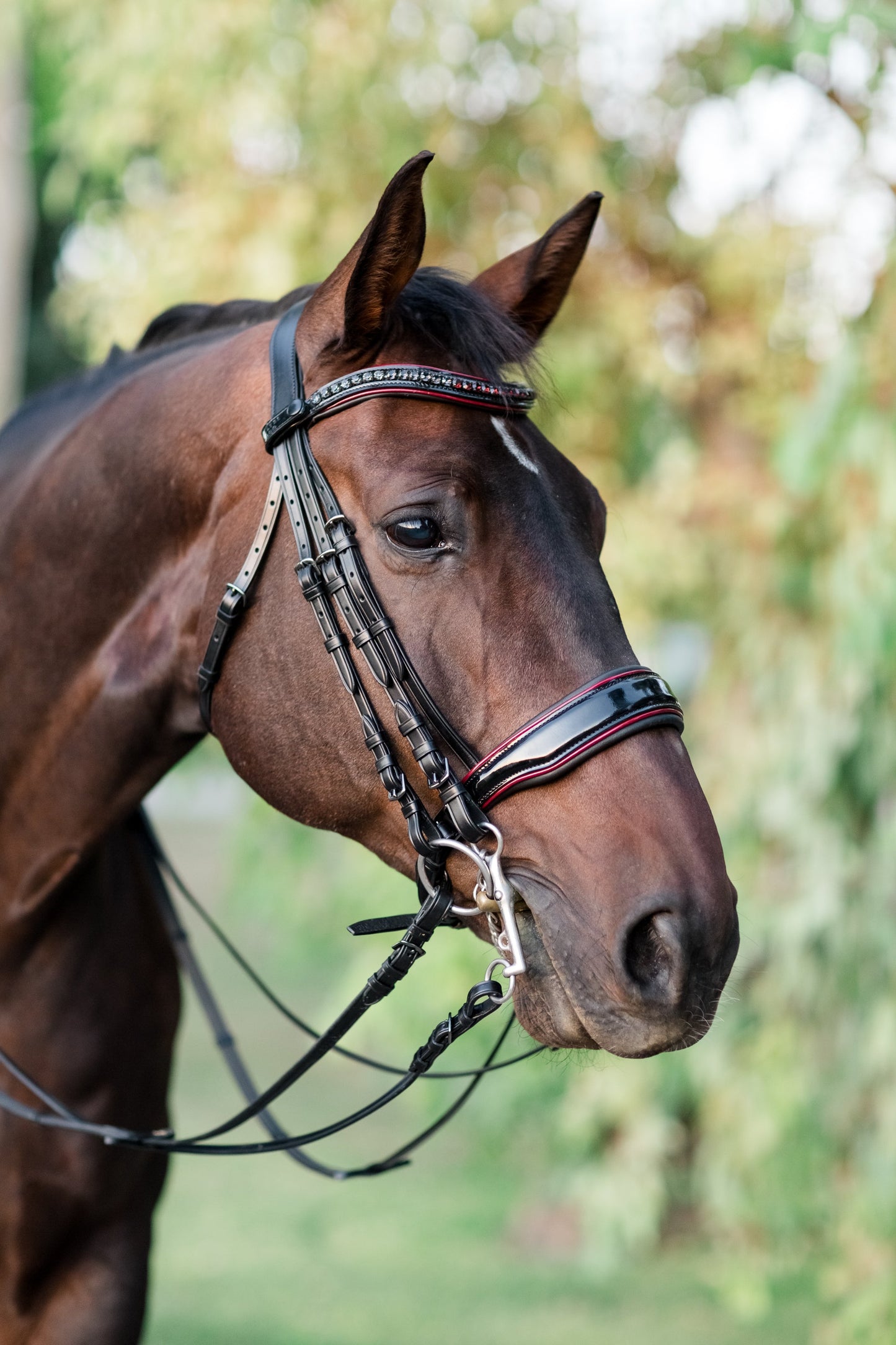 Halter Ego® The Hayworth Double - Black Patent Double Bridle